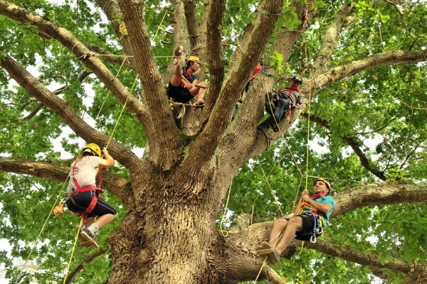 csm_sport03_3d5dca09fa